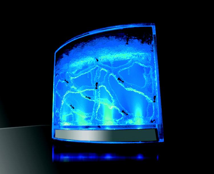 Fascinations AntWorks Spaceants Illuminated ANT Farm Habitat Blue LED for sale online 