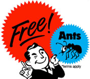 ant-farm-ants-free-_side_panel