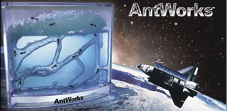 antworks-over